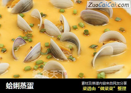 蛤蜊蒸蛋