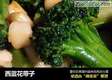西蓝花带子