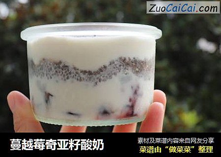 蔓越莓奇亚籽酸奶