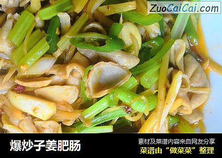 爆炒子姜肥肠