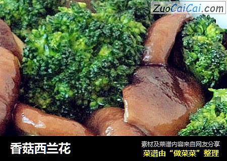 香菇西兰花 