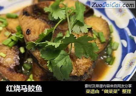 红烧马鲛鱼
