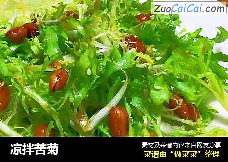 凉拌苦菊