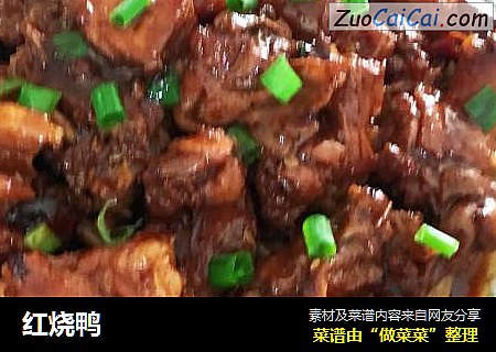 红烧鸭