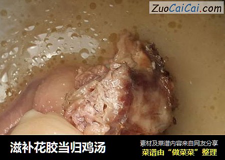 滋补花胶当归鸡汤