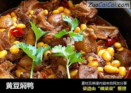 黄豆焖鸭