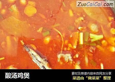 酸汤鸡煲
