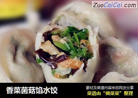 香菜菌菇馅水饺