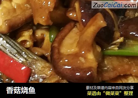 香菇烧鱼