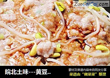 皖北土味---黄豆芽蒸肉饼