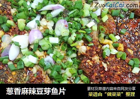 葱香麻辣豆芽鱼片