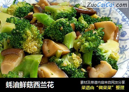 蚝油鲜菇西兰花