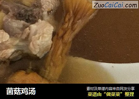 菌菇鸡汤