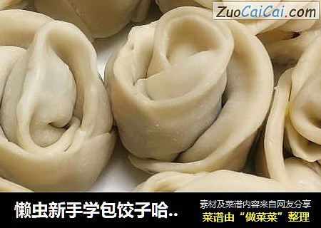 懒虫新手学包饺子哈哈哈