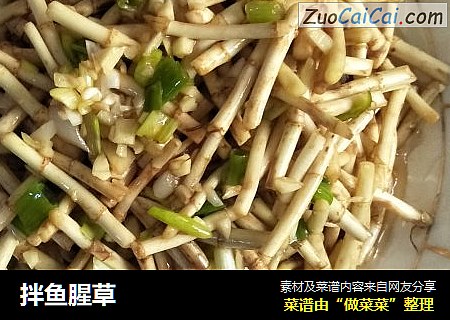 拌鱼腥草
