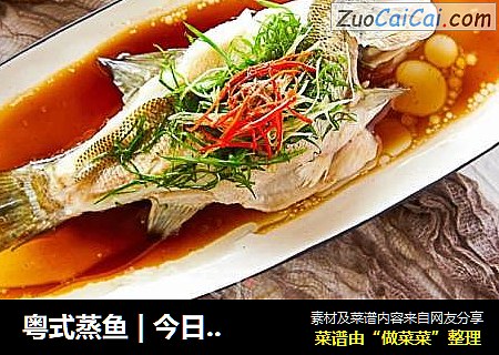 粤式蒸鱼|今日吃蒸鱼：蒸蒸日上！鱼跃龙门！