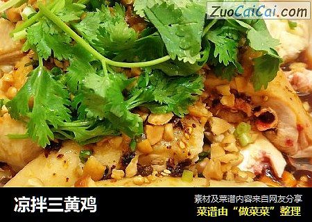 凉拌三黄鸡