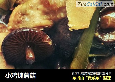 小鸡炖蘑菇