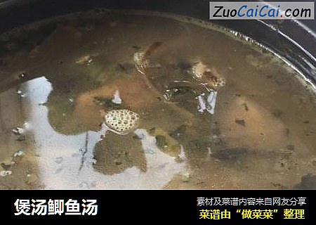 煲汤鲫鱼汤