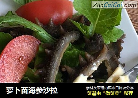 萝卜苗海参沙拉