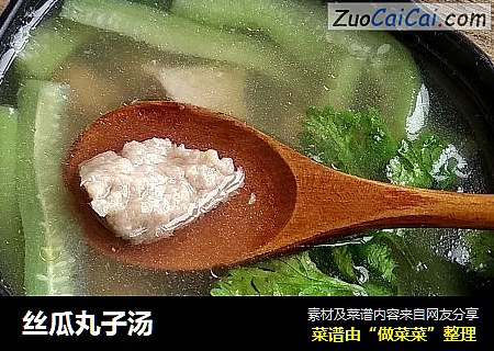 丝瓜丸子汤