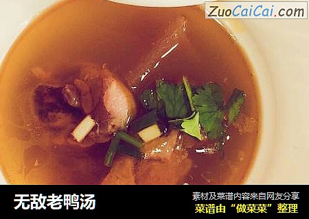 无敌老鸭汤