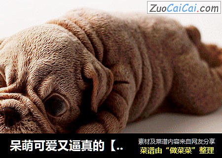 呆萌可爱又逼真的【沙皮狗慕斯蛋糕】