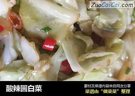 酸辣圆白菜