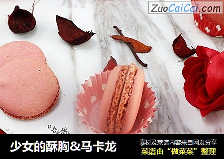 少女的酥胸&马卡龙