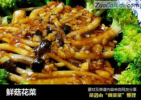 鲜菇花菜