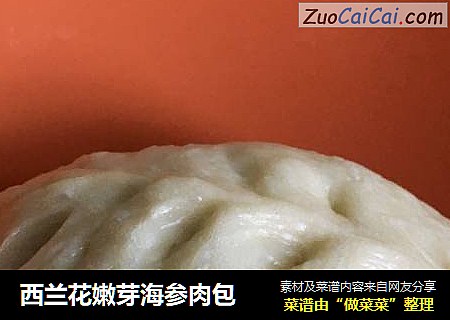 西兰花嫩芽海参肉包