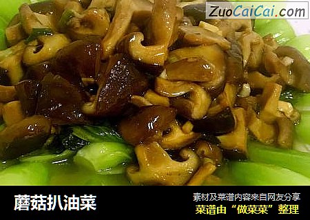 蘑菇扒油菜