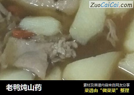 老鸭炖山药