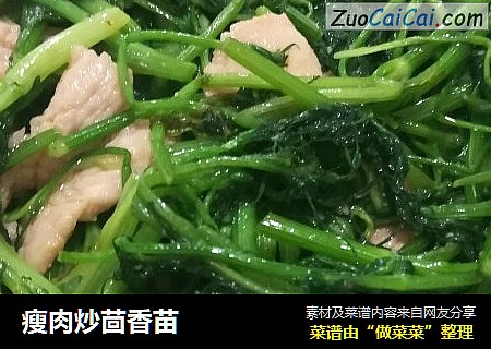 瘦肉炒茴香苗