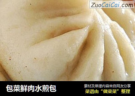 包菜鲜肉水煎包