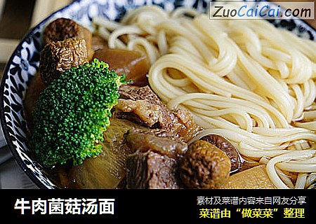 牛肉菌菇汤面
