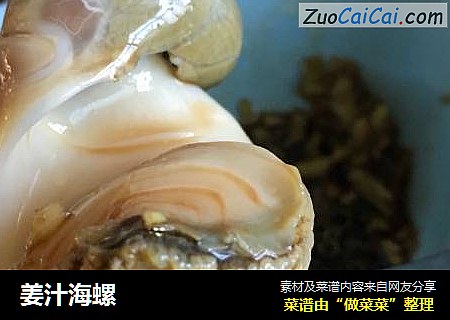姜汁海螺