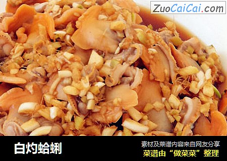  白灼蛤蜊