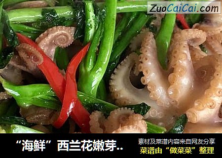 “海鲜”西兰花嫩芽炒八爪鱼