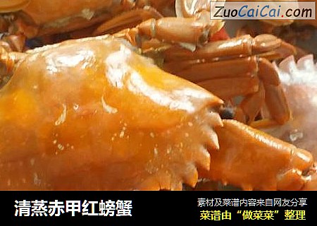 清蒸赤甲红螃蟹