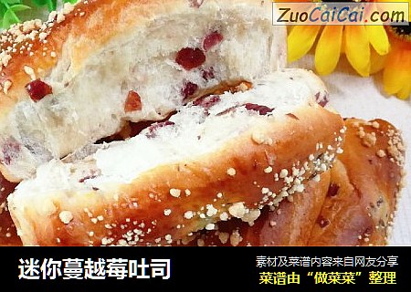 迷你蔓越莓吐司