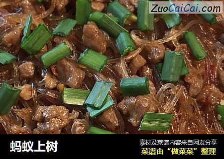蚂蚁上树
