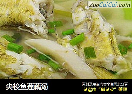 尖梭鱼莲藕汤