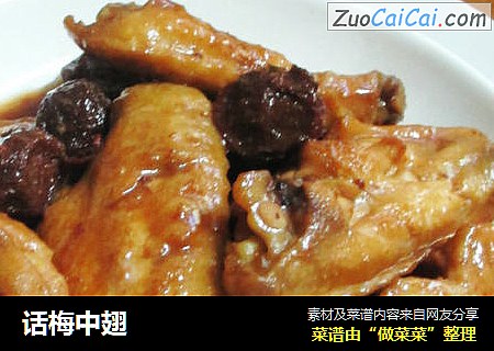 话梅中翅