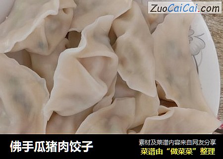 佛手瓜猪肉饺子