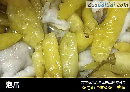 泡爪