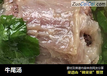 牛尾汤