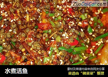 水煮活鱼