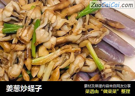 姜葱炒蛏子