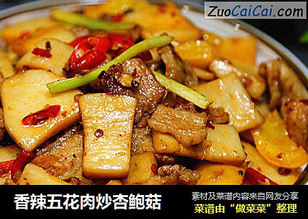 香辣五花肉炒杏鲍菇